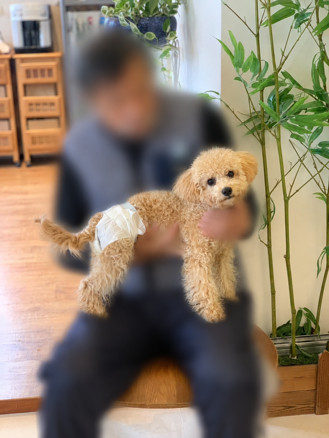 系爭犬日常安置照片 7