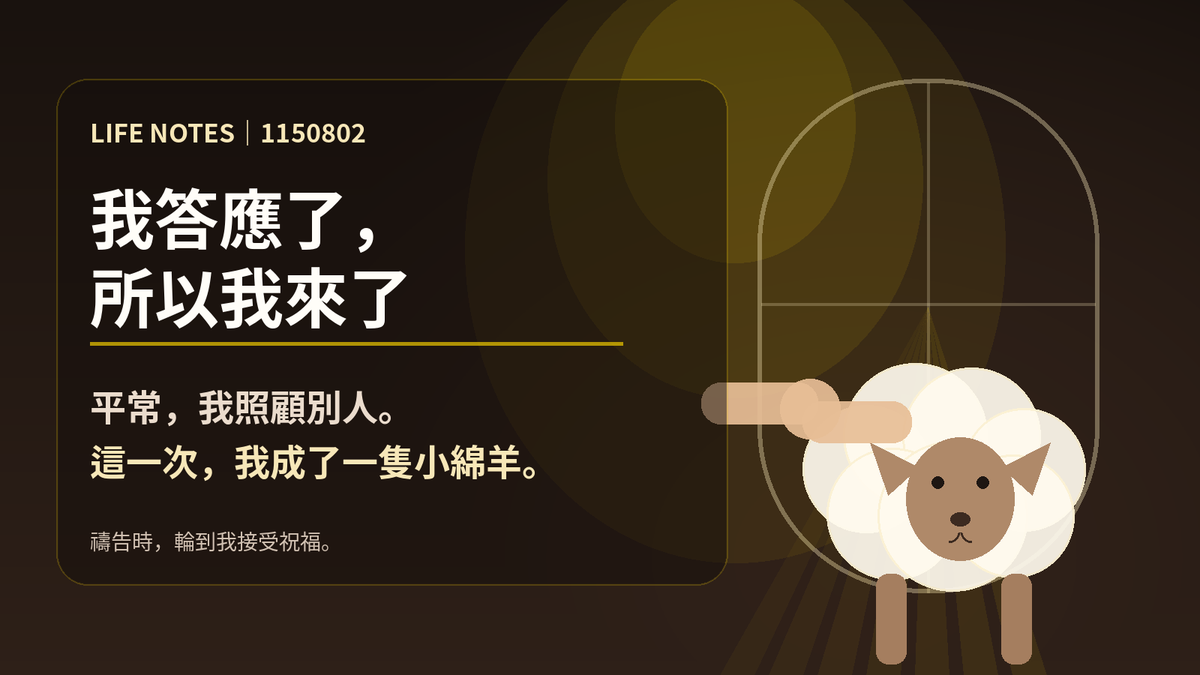 我答應了,所以我來了;平常我照顧別人,這一次我成了一隻小綿羊